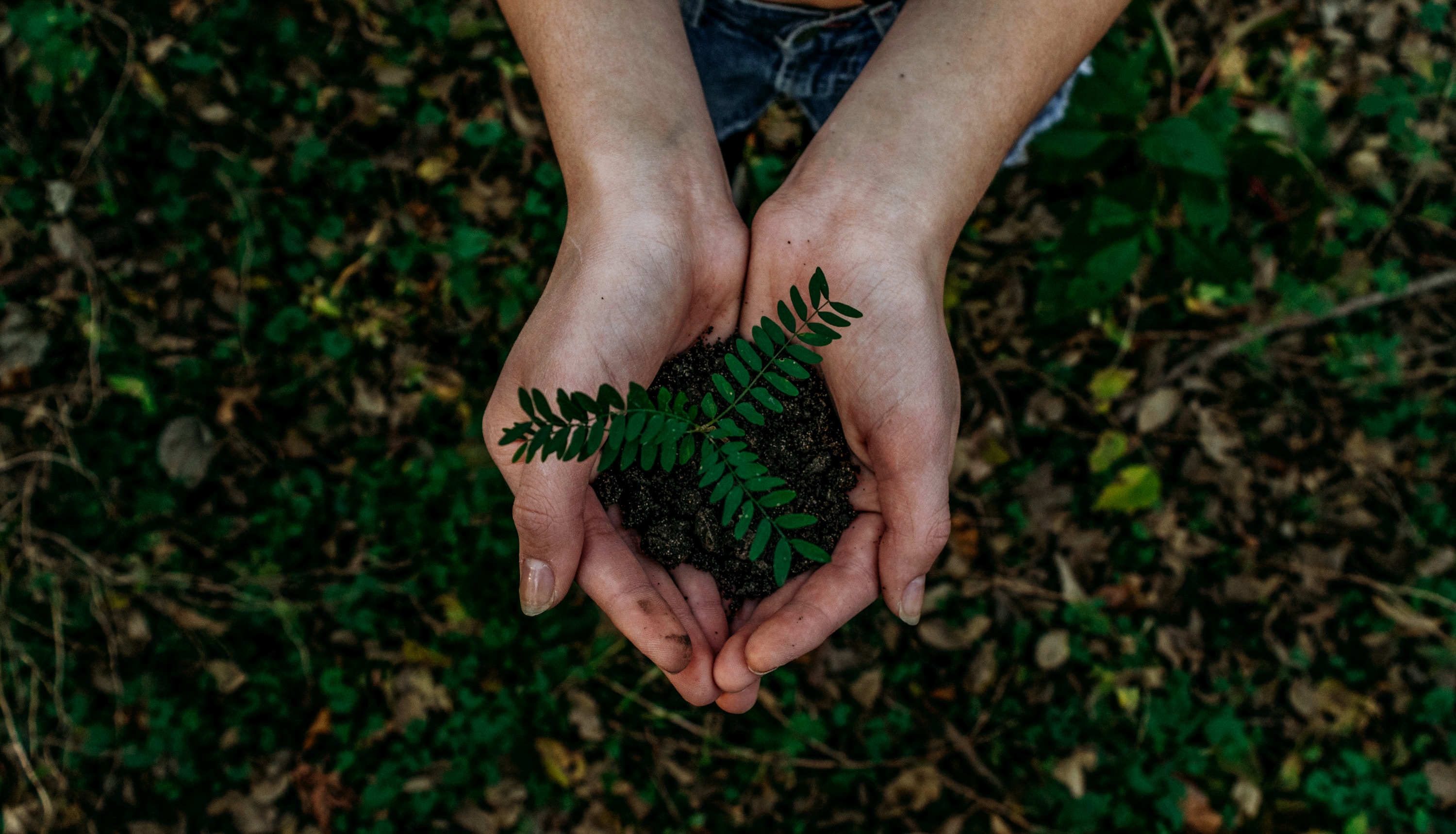 Green Events - warum immer mehr Unternehmen auf nachhaltige Veranstaltungen setzen - seminar-location.info