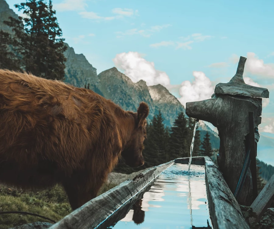 firmenfeier-tirol-alpbach