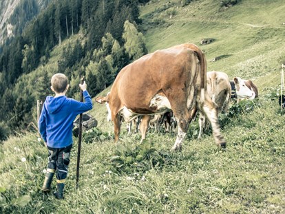 Tagungshotels - Mayrhofen (Mayrhofen) - Teambuilding Landwirtschaft - Grasberg Alm