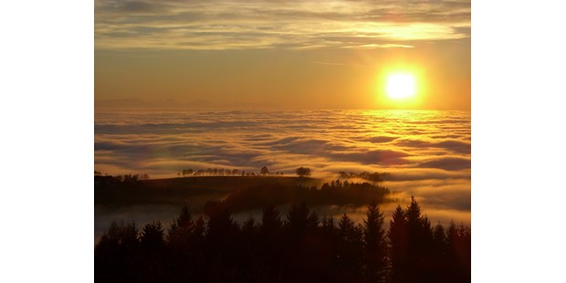 Tagungshotels - Umgebung: am Land - Böheimschlag - Sonnenuntergang auf der Eidenberger Alm - Eidenberger Alm