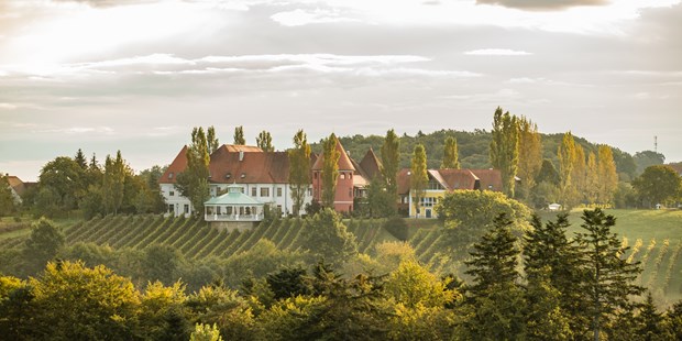 Tagungshotels - Kulinarik-Incentive: Käseverkostung - Katzendorf - Weinschloss mitten in den Rebgärten - Weinschloss Thaller