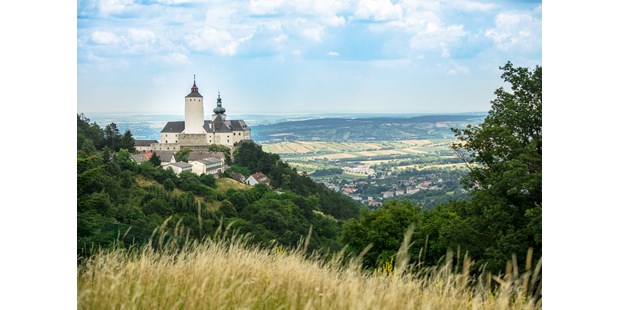Tagungshotels - Kameraüberwachung - Sankt Georgen am Leithagebirge - Lennard Lindner - Burg Forchtenstein