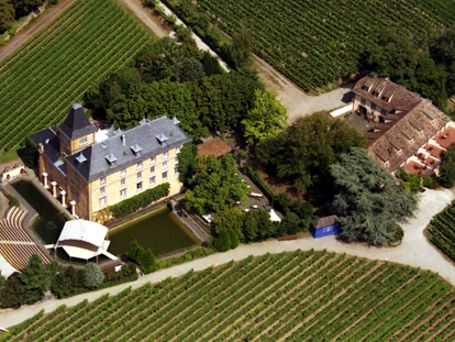 Tagungshotels - nächstes Hotel - Insheim - Luftaufnahme - Hotel Schloss Edesheim