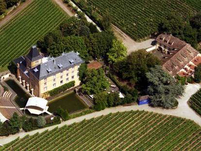 Tagungshotels - Adventure-Incentive: Bogenschießen - Rhodt unter Rietburg - Luftaufnahme - Hotel Schloss Edesheim