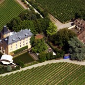 Tagungshotels: Luftaufnahme - Hotel Schloss Edesheim