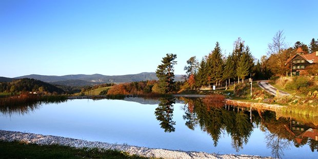 Tagungshotels - geeignet für: Tagung - Lackenbach - Naturschwimmteich und Ausblick - Retreathaus Kloster NaturSinne