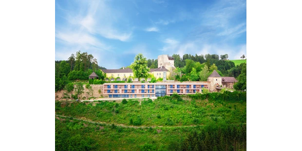 Tagungshotels - Mühlviertel - Burg Kreuzen - Schatz.Kammer - Burg Kreuzen