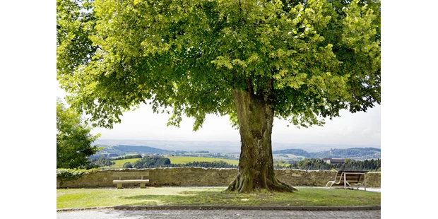 Tagungshotels - Mühlviertel - Schatz.Kammer - Burg Kreuzen