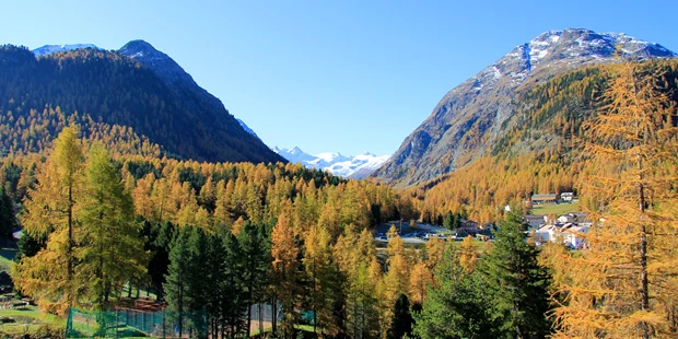 Tagungshotels - PLZ 7504 (Schweiz) - Hotelpark - Seminarhotel SARATZ & Kongress- und Kulturzentrum Pontresina
