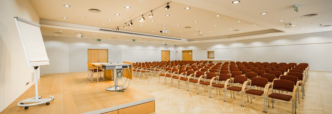 Seminarraum: Der große Tagungsraum (Konferenzraum TLE) des Technologiezentrum Eisenstadt im Burgenland. - Seminarräume Technologiezentrum Eisenstadt