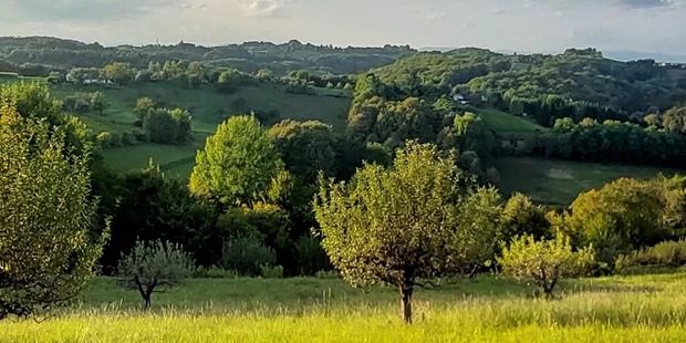 Tagungshotels - Thermenland Steiermark - Obstgarten - LandRastHaus Maria Bild - bodenständig und exklusiv