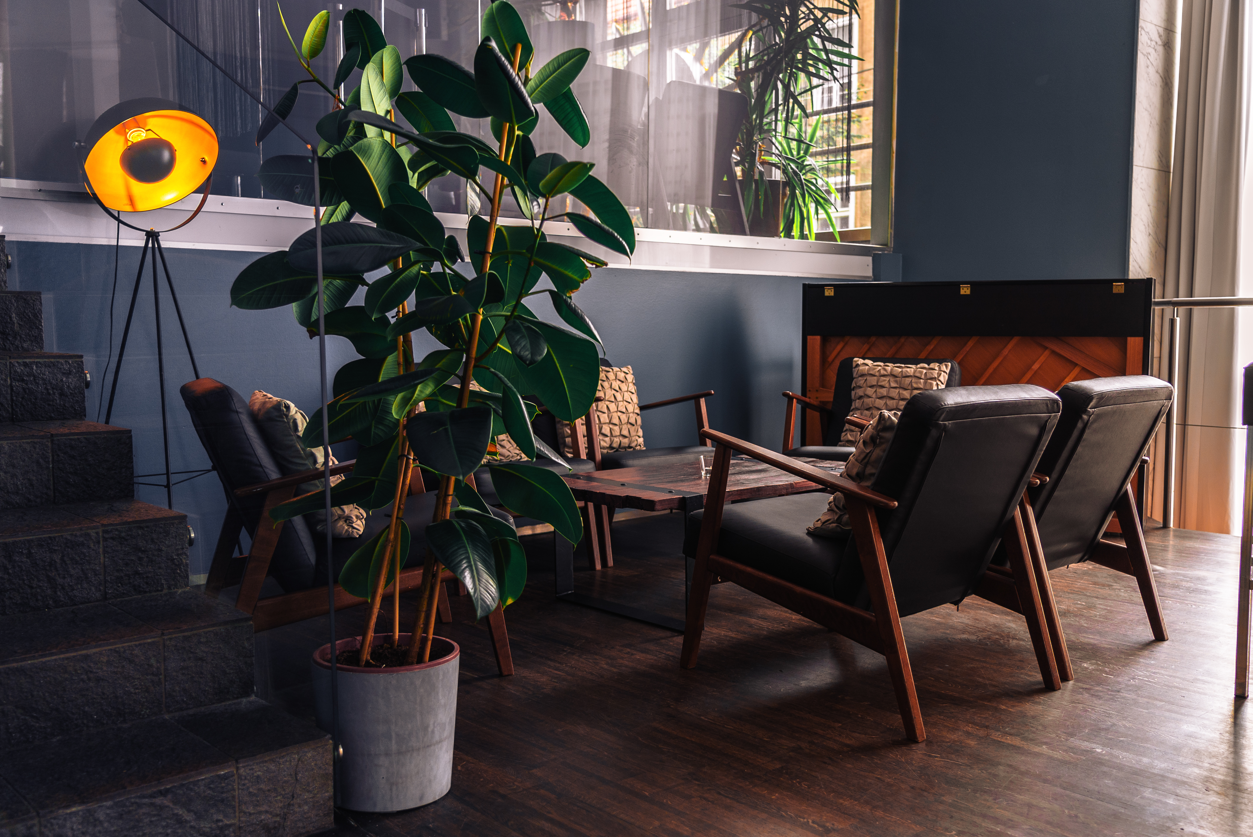 Seminarraum: Fenster Lounge - studio67