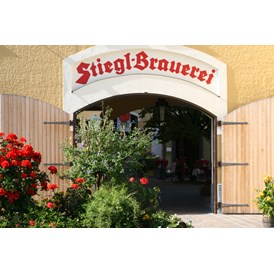 Seminarraum: Stiegl-Brauwelt 