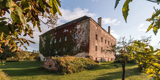 Tagungshotels - Beamer und Leinwand - Schloss Haggenberg