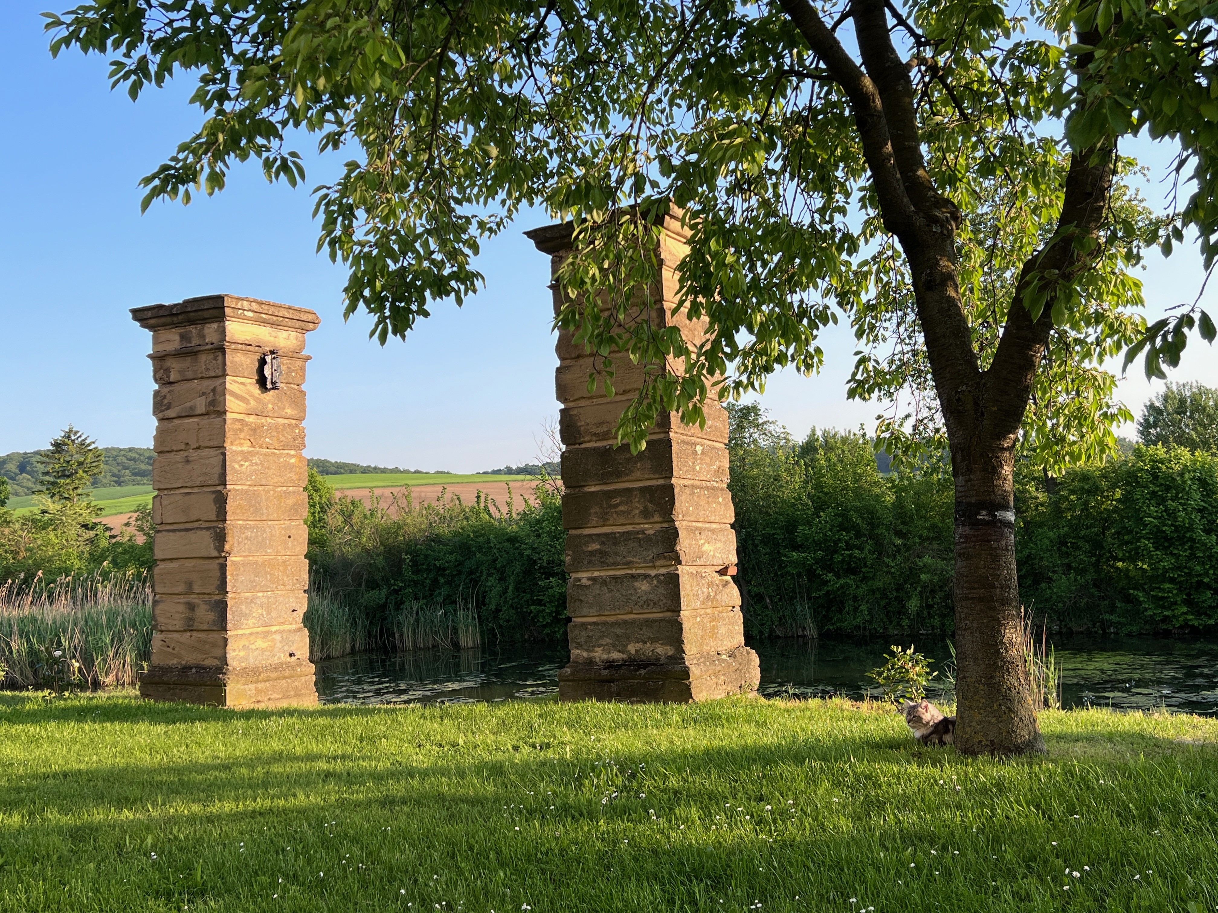 Tagungshotels - Flair: urig - Weinviertel - Schloss Haggenberg