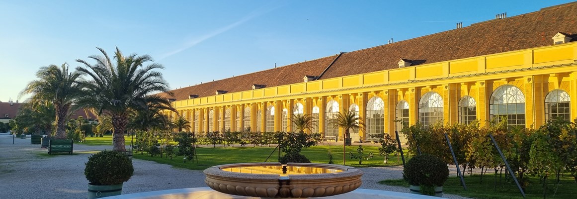 Seminarraum: Ansicht aus dem Orangeriegarten auf die Orangerie Schönbrunn  - Schloss Schönbrunn Apothekertrakt und Orangerie 