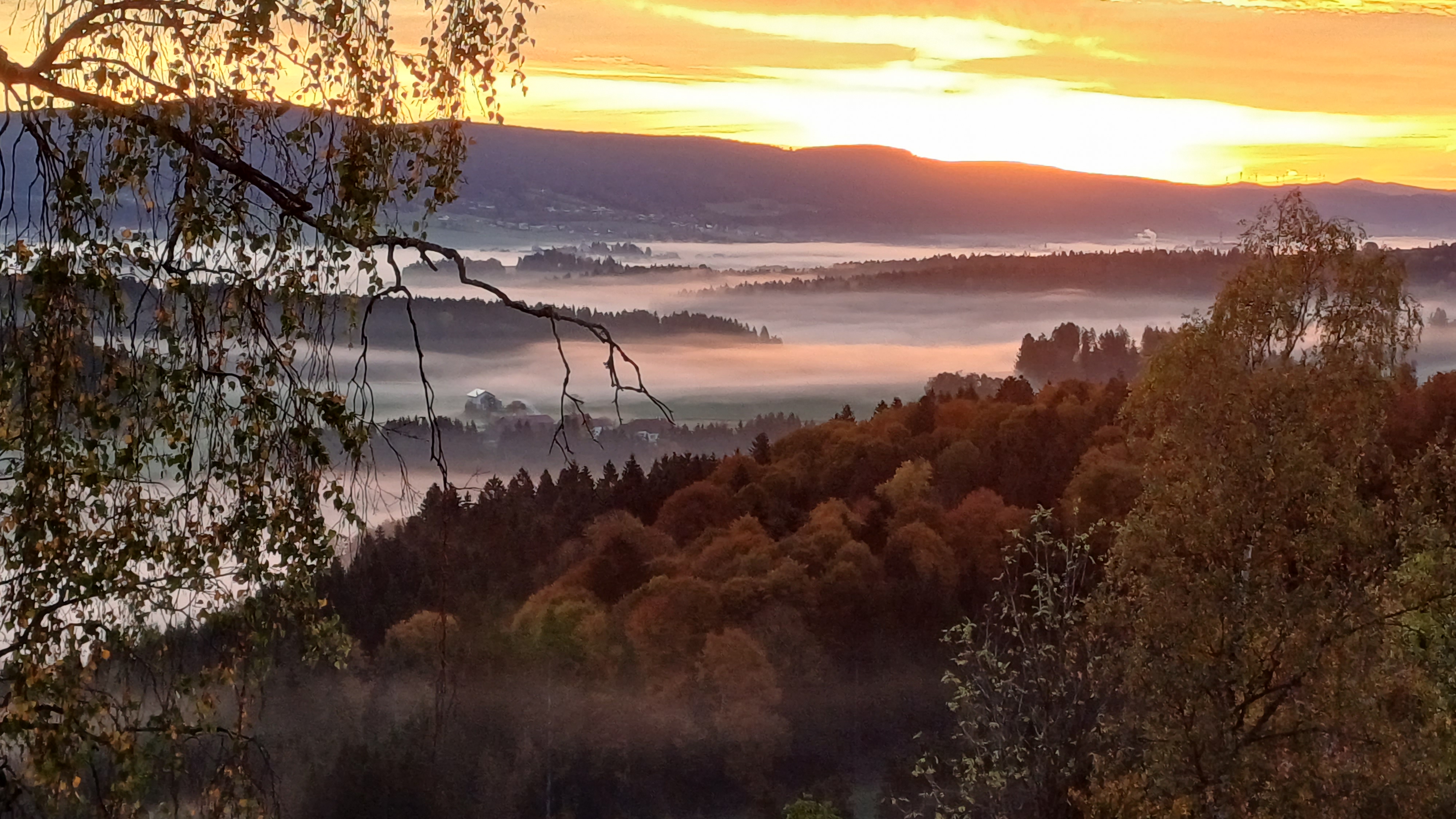 Seminarraum: Villa Breitenberg