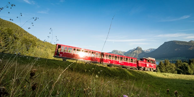 Tagungshotels - Beamer und Leinwand - ErlebnisQuartier & WolfgangseeSchifffahrt & SchafbergBahn