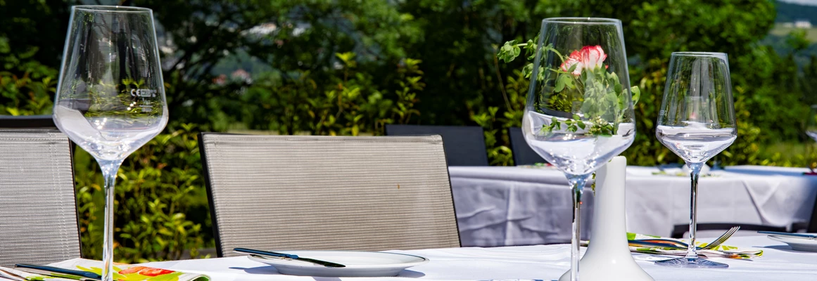 Seminarraum: gedeckter Tisch auf der Terrasse im Restaurant Donauwelle - Hotel Donauwelle Linz