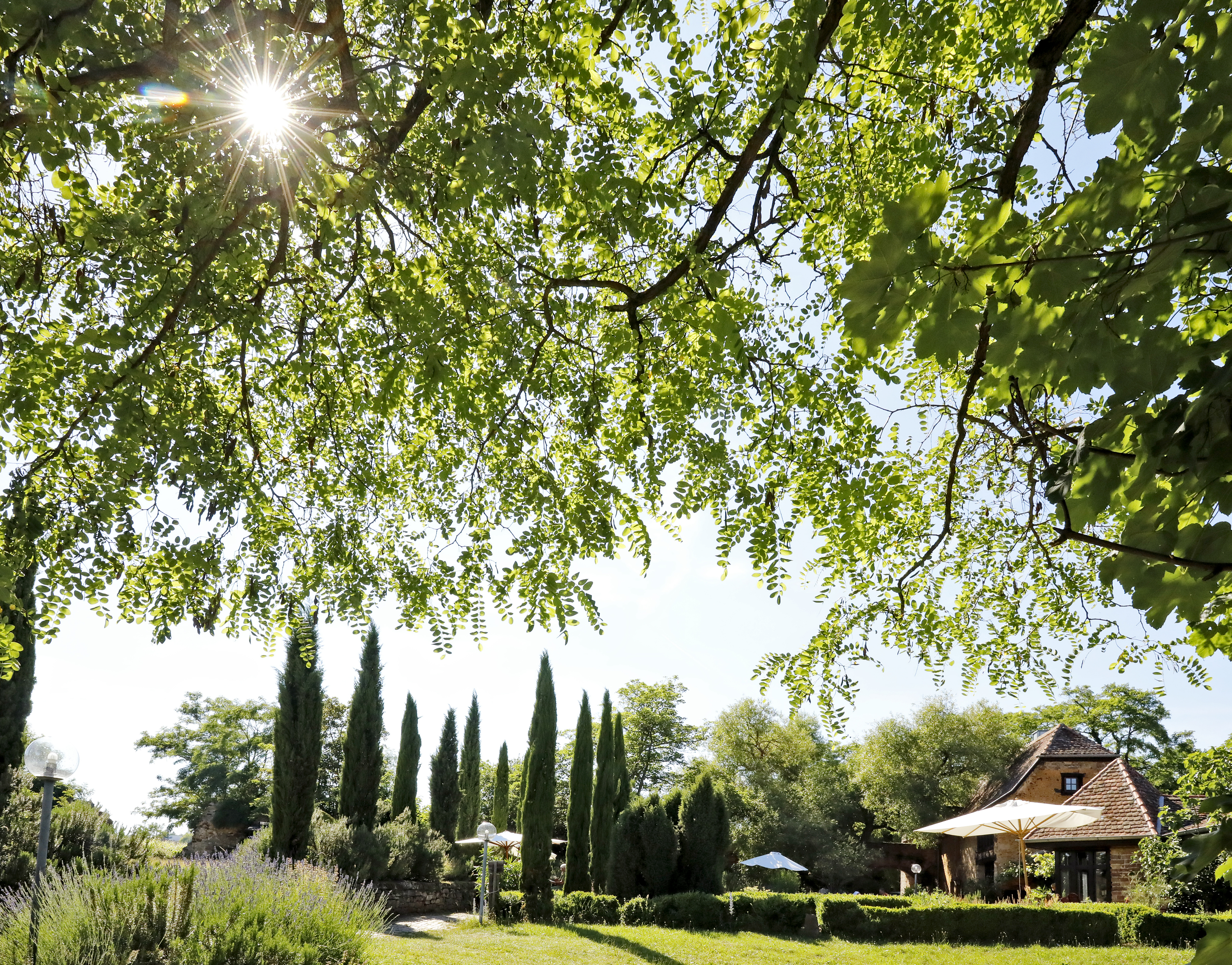 Seminarraum: Hofgut Battenberg/ Pfalz