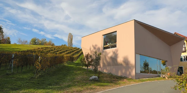 Tagungshotels - Thermenland Steiermark - Das zu mietende Objekt. 
Weinhaus Erdgeschoss.  - Weinhaus - Weingut Ploder-Rosenberg