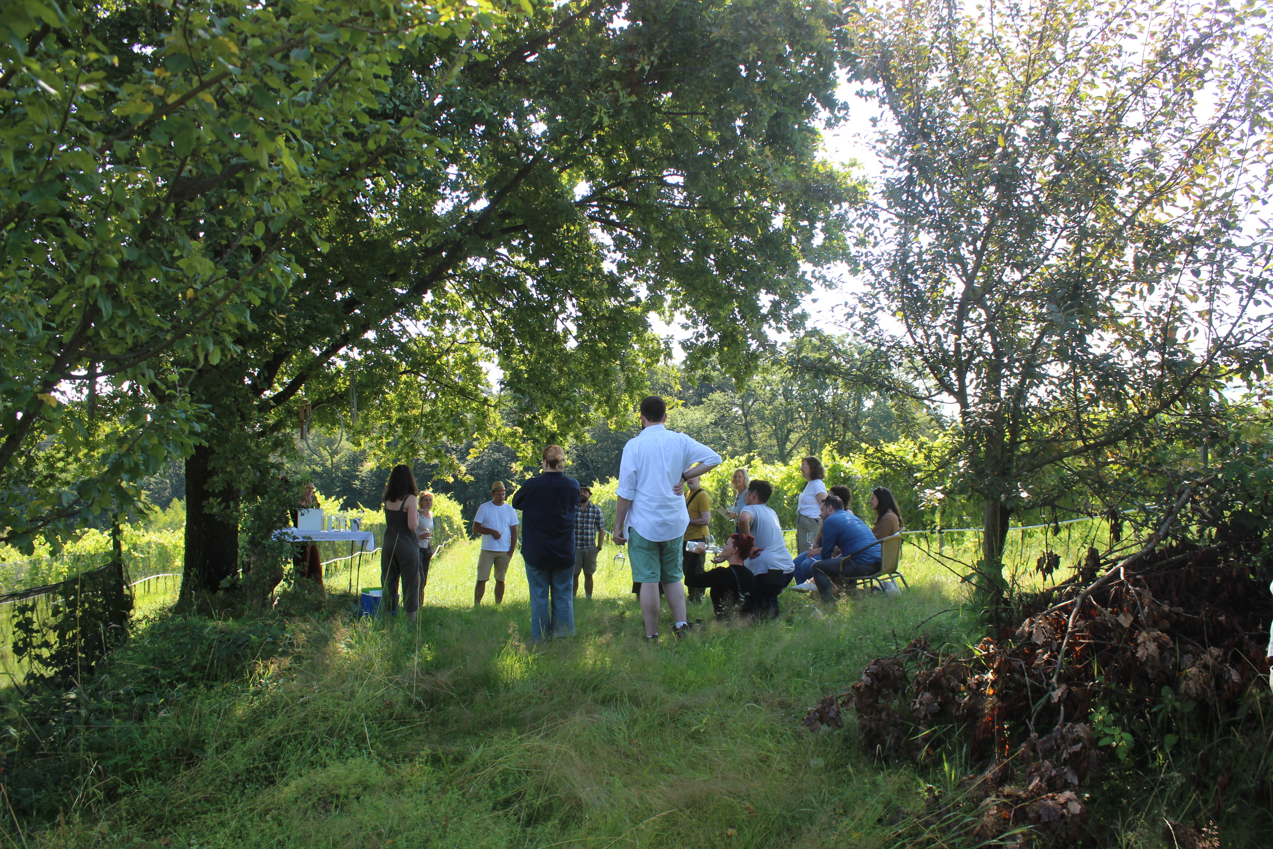 Seminarraum: Seminar nach draußen verlegen: möglich - Weinhaus - Weingut Ploder-Rosenberg