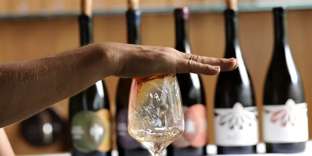 Tagungshotels - Thermenland Steiermark - Weinhaus - Weingut Ploder-Rosenberg