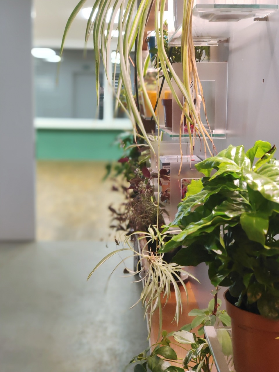 Tagungshotels - Ottensheim - Eingang hin zum Studio - AUBERGiNE