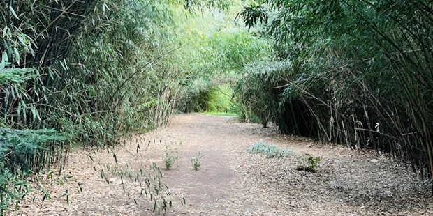Tagungshotels - Franken - Flinthouse & BambooPark