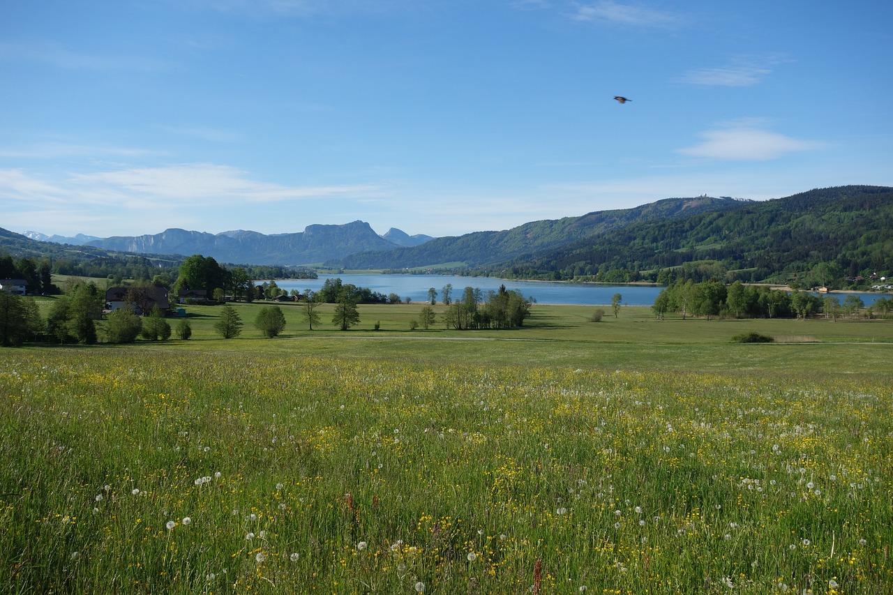 Tagungshotels - Lenzing (Lenzing) - Zell am Moos liegt beim Irrsee - OJAS Therapie- und Seminarzentrum