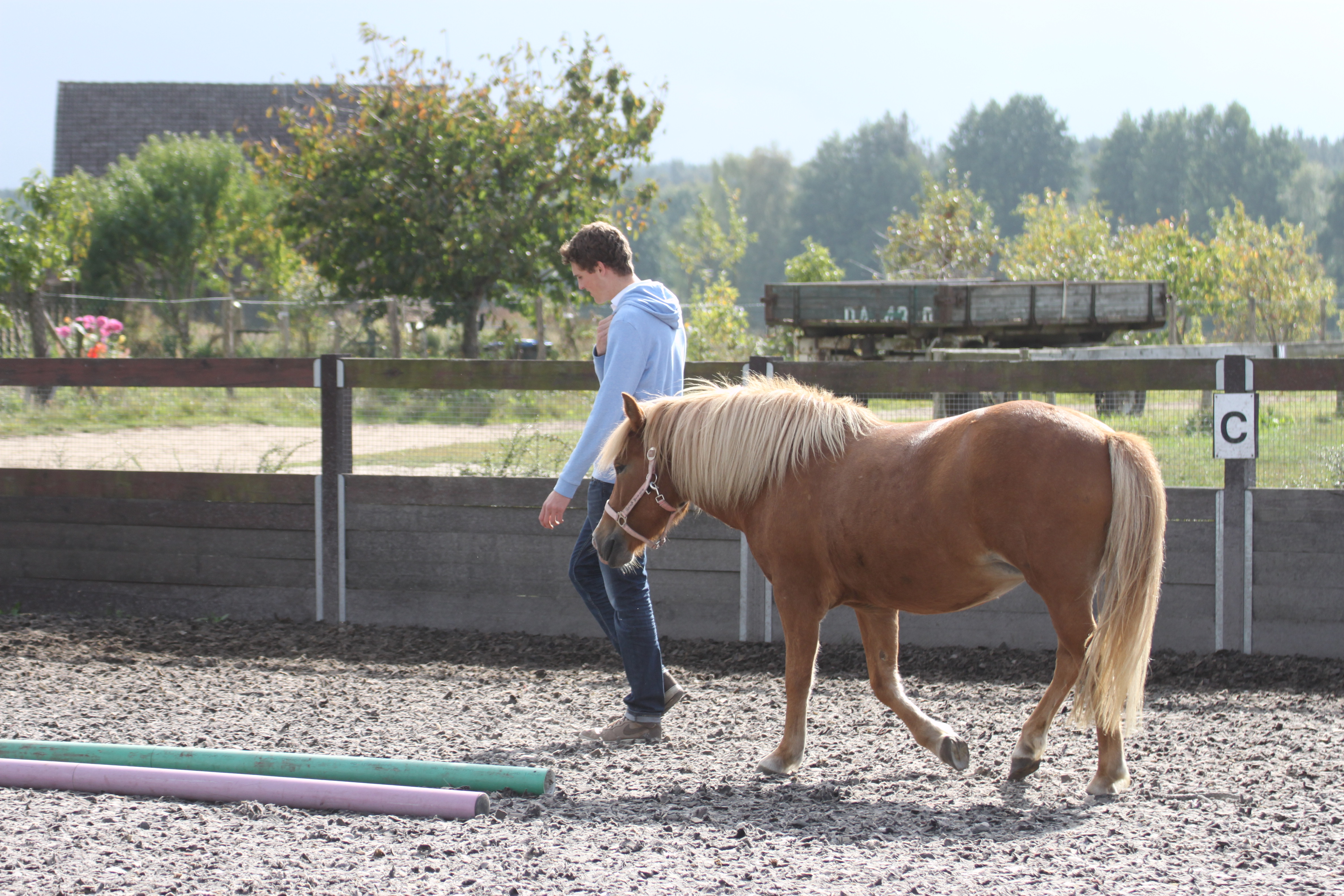 Seminarraum: Coachings mit Pferden sind nach Absprache möglich - Seminarbauernhof Groß Briesen 