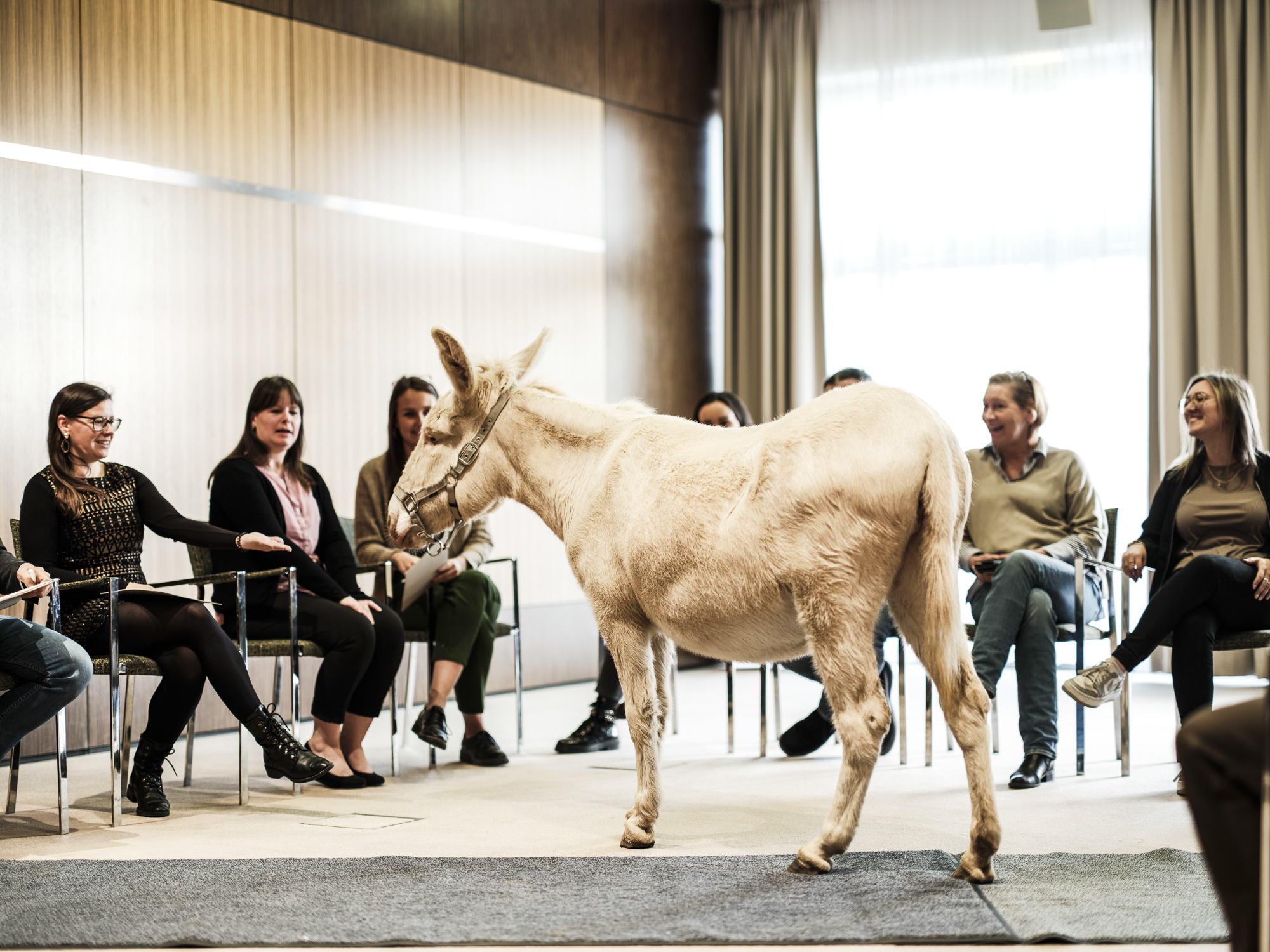 Tagungshotels - Neusiedler See - ST. MARTINS Business Lodge