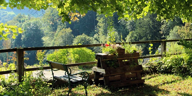 Tagungshotels - Beamer und Leinwand - Ausblick von Zimmern, von überall ist atemberaubend - Blick auf Ötscher und andere Berge und Wälder  - Steinschaler Dörfl