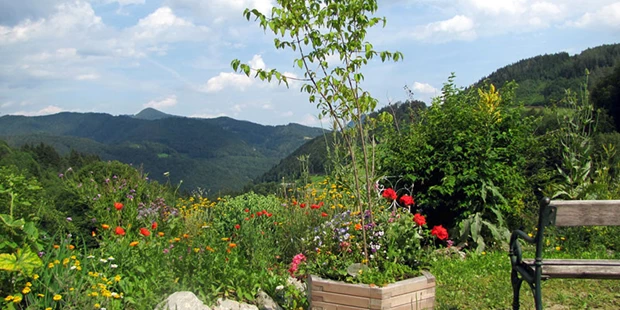 Tagungshotels - Beamer und Leinwand - Natur pur  - Steinschaler Dörfl