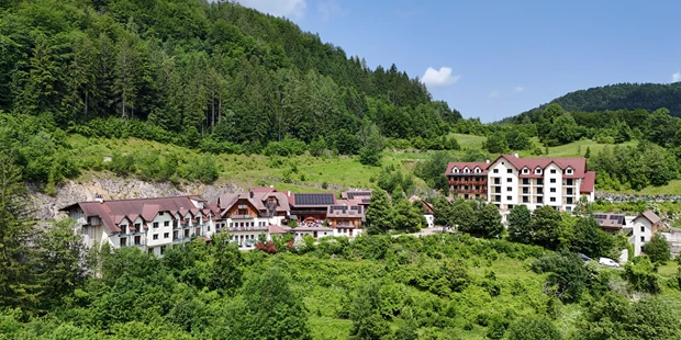 Tagungshotels - Beamer und Leinwand - Stellen Sie sich vor, Sie haben das Dorf und die Wälder und Wiesen für Ihren Event alleine, ein Dorf, das Ihren Namen trägt. - Das ist das Konzept: Rent a Dörfl (= Rent a Village)  - Steinschaler Dörfl