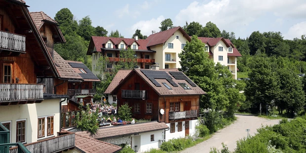 Tagungshotels - Beamer und Leinwand - Steinschaler Dörfl