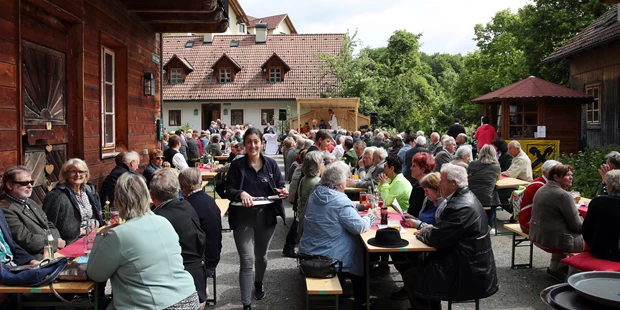 Tagungshotels - Beamer und Leinwand - Steinschaler Dörfl