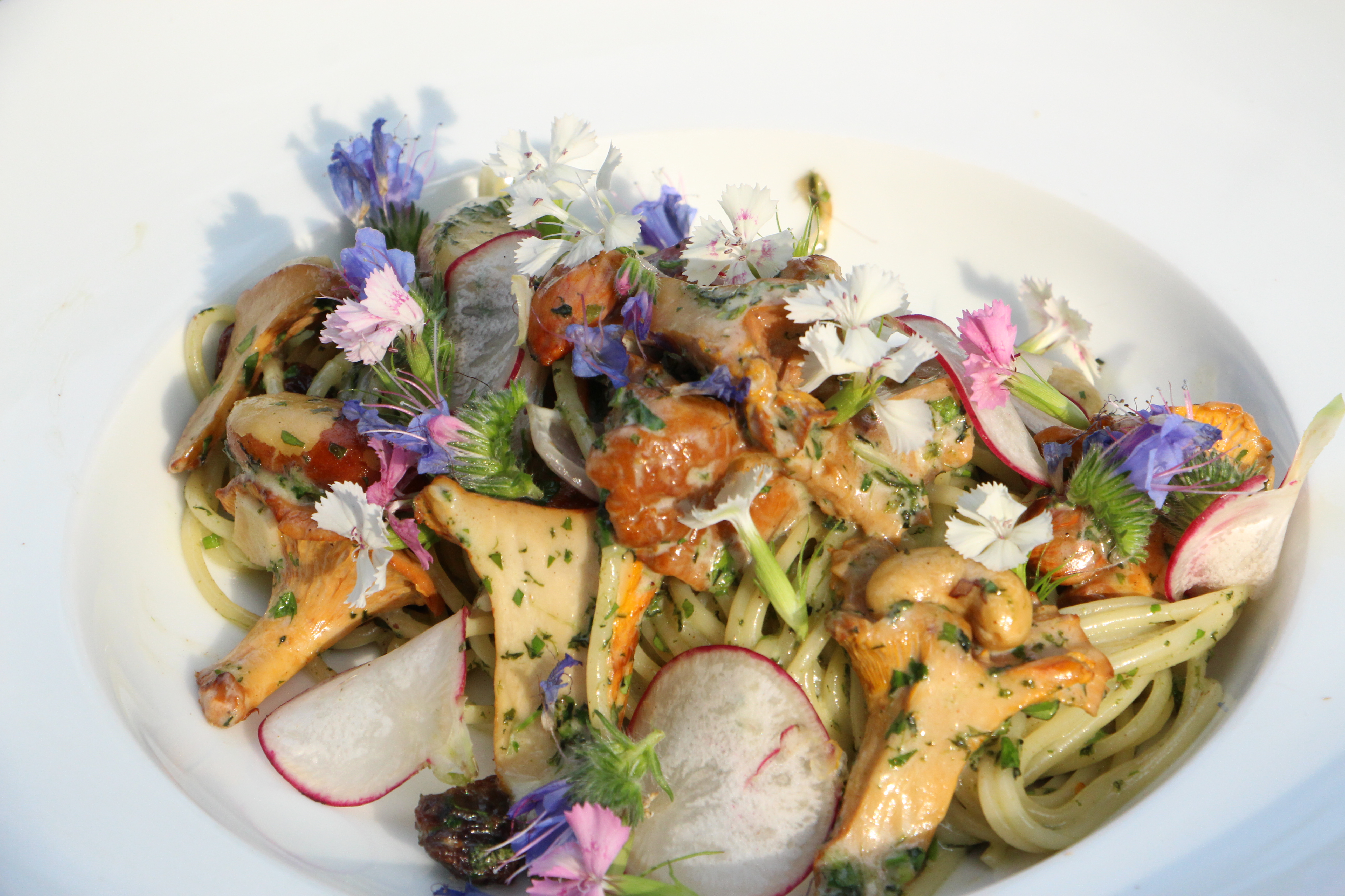 Tagungshotels - PLZ 3203 (Österreich) - prämierte Steinschaler Dirndlkulinarik, Wildkräuter, saisonale Speisen, regional, Bio, Vegan, feinste BIO Fleischsorten, Mostviertler Spezialitäten, die Sie nicht vergessen werden.  -  Wildkräuterhotel Steinschalerhof 