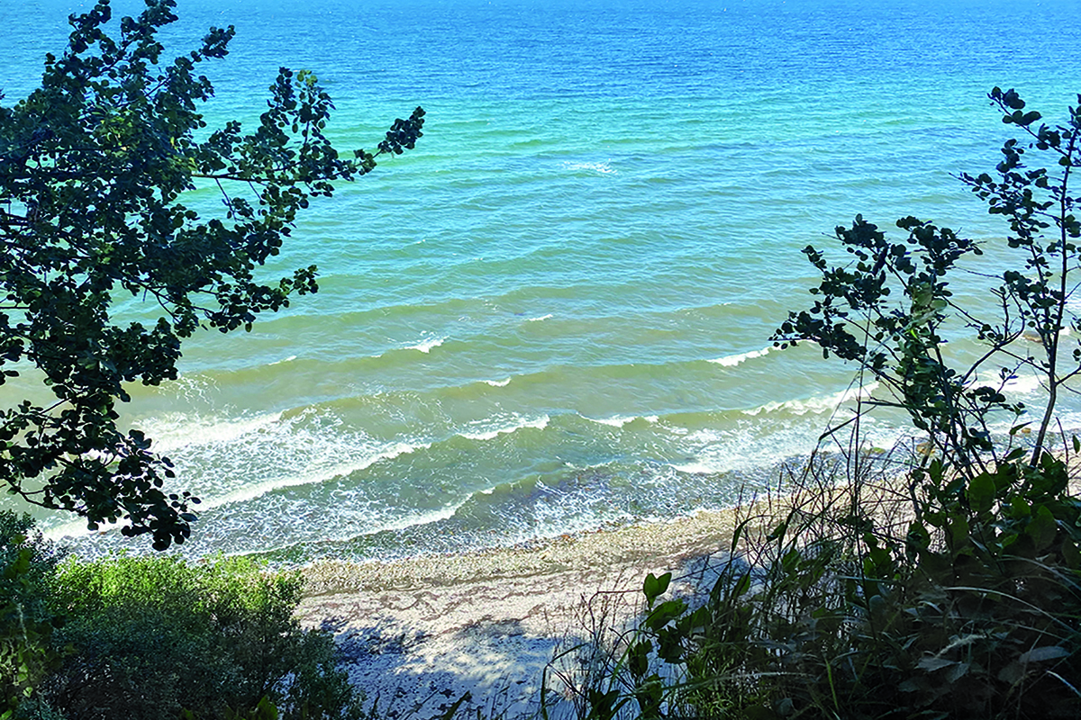 Tagungshotels - Mecklenburg-Vorpommern - Nahe der Ostsee. - Seminarlocation nahe der Ostsee „Elme und Horst“.