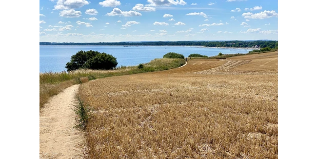 Tagungshotels - Beamer und Leinwand - Mit dem Fahrrad nach Boltenhagen. - Seminarlocation nahe der Ostsee „Elme und Horst“.