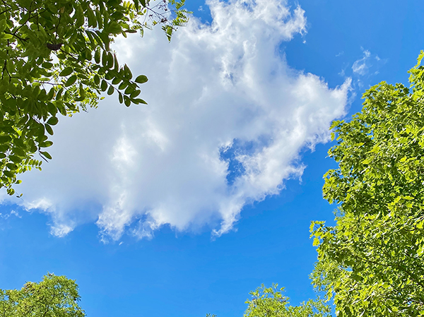 Seminarraum: Raum für Gedanken. - Seminarlocation nahe der Ostsee „Elme und Horst“.
