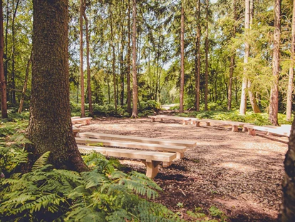 Tagungshotels - Lüneburger Heide - Unsere Waldlichtung für Seminare und Retreats - EGGERSHOF
