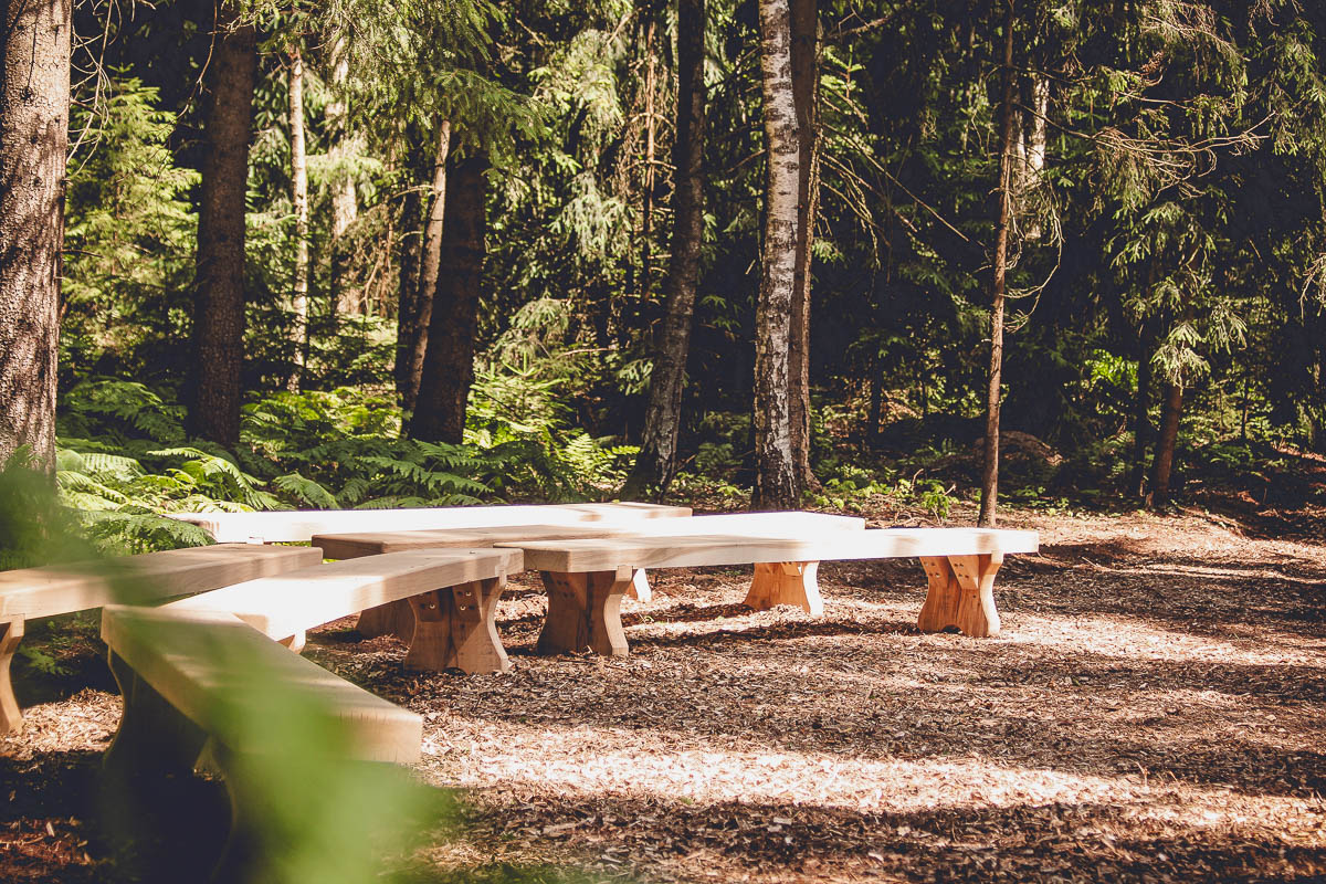 Seminarraum: Unsere Waldlichtung für Seminare und Retreats - EGGERSHOF