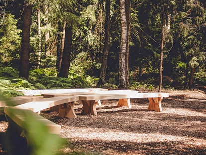 Tagungshotels - Lüneburger Heide - Unsere Waldlichtung für Seminare und Retreats - EGGERSHOF
