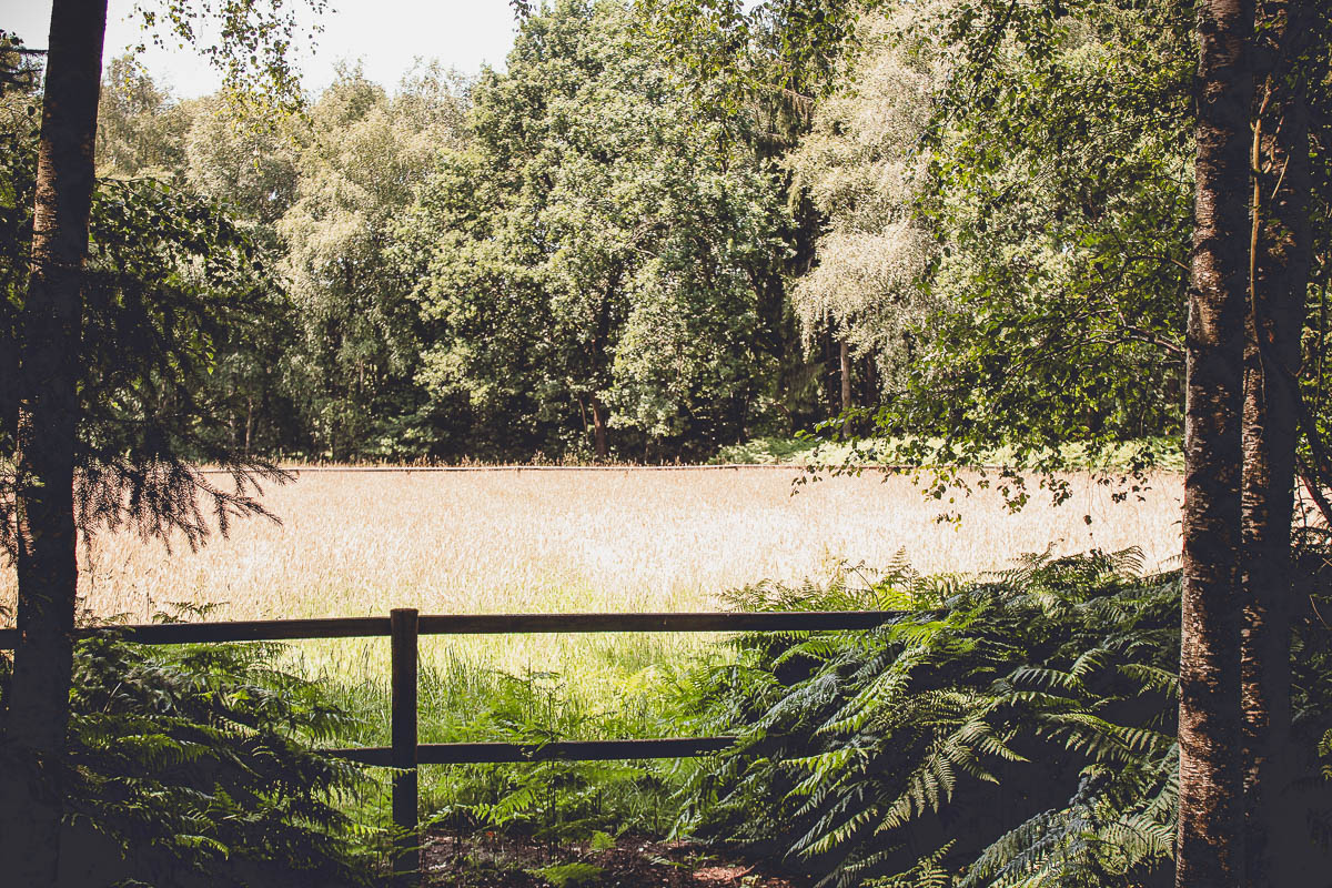 Seminarraum: Unsere Waldlichtung für Seminare und Retreats - EGGERSHOF