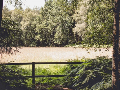 Tagungshotels - Lüneburger Heide - Unsere Waldlichtung für Seminare und Retreats - EGGERSHOF