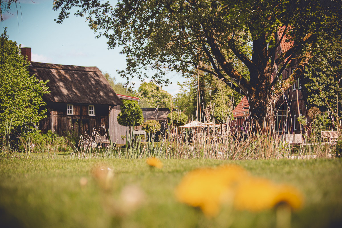 Seminarraum: Der Hofgarten und Teich - EGGERSHOF