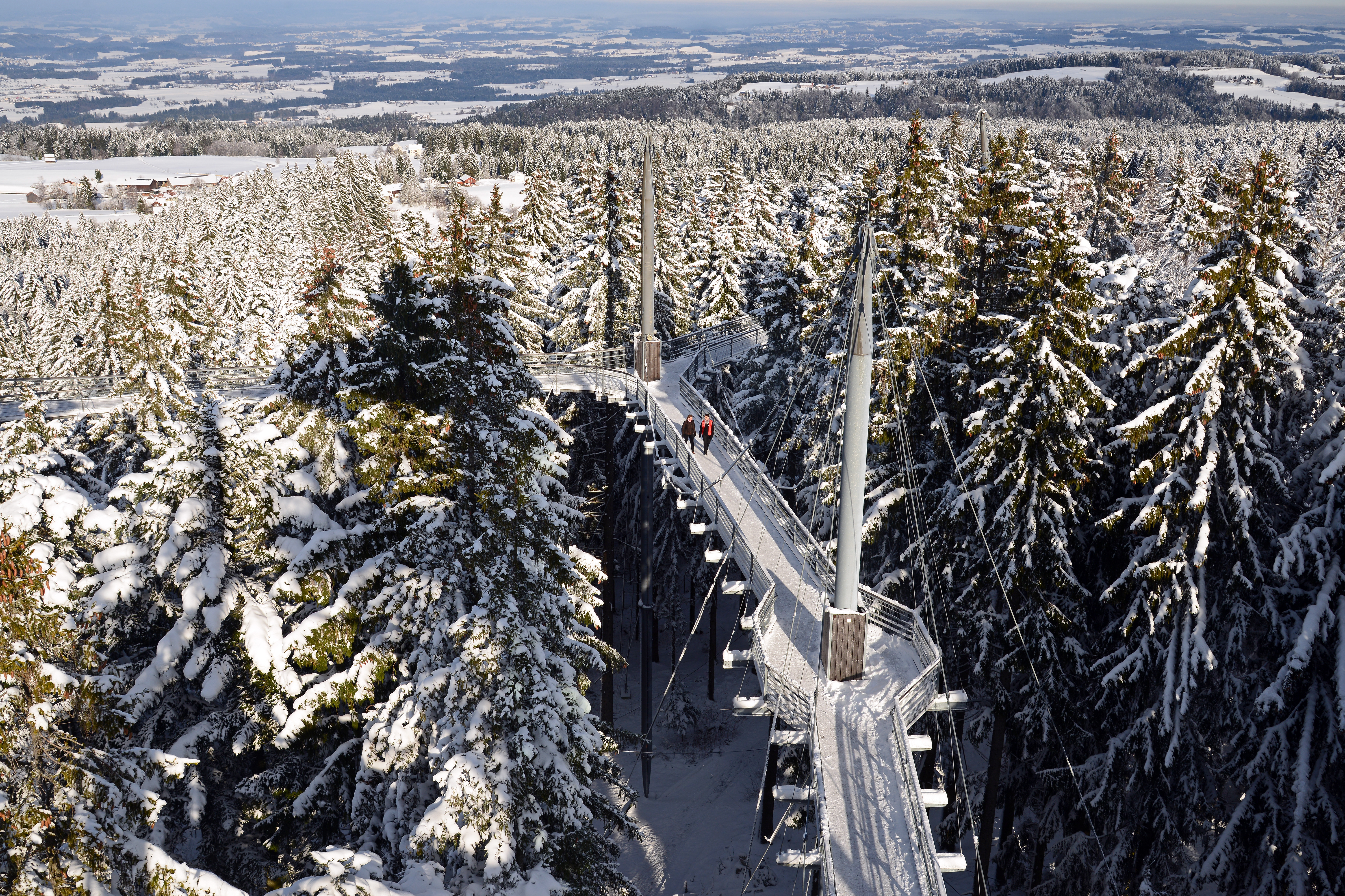 Seminarraum: die Waldwelt Allgäu im Winter - Waldräume Allgäu