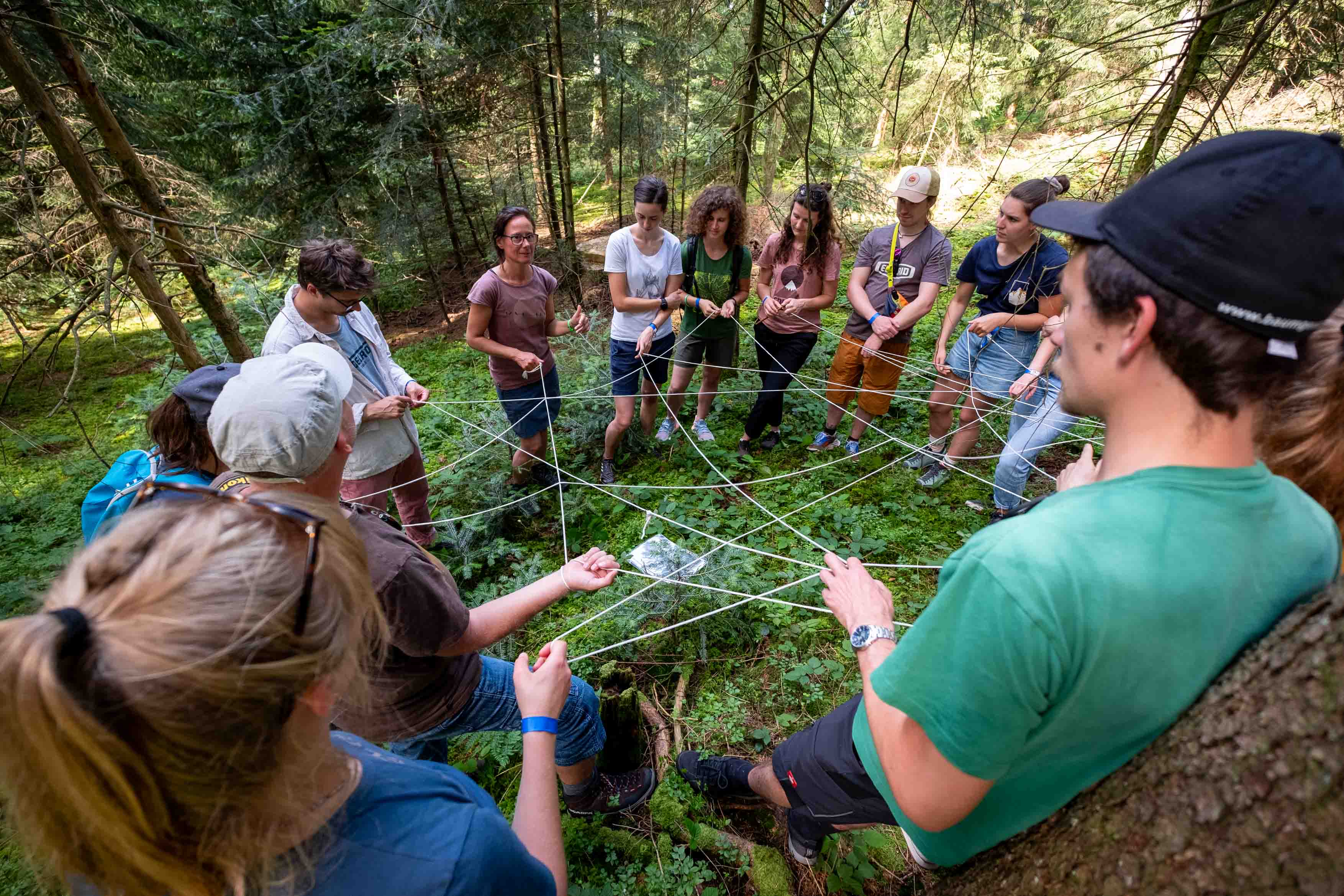 Seminarraum: Rahmenprogramm - Aktivpause in der Waldwelt Allgäu - Waldräume Allgäu