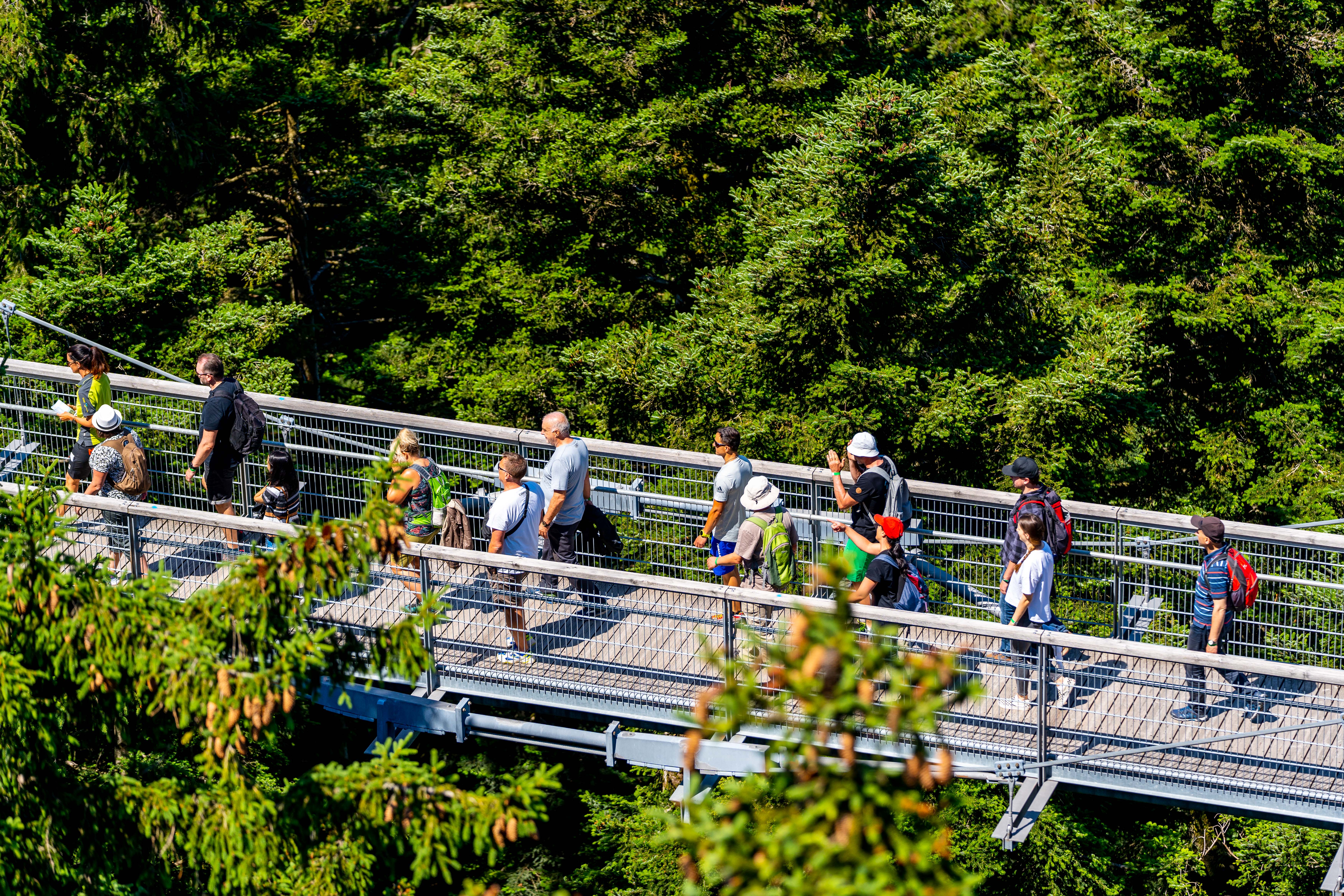 Seminarraum: Rahmenprogramm - Aktivpause in der Waldwelt Allgäu - Waldräume Allgäu